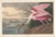 Ivory Collection of 4 Vintage 1966 John James Audubon Double-Sided Waterbird Prints For Sale - Image 8 of 9