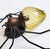 Modern Italian Spider Wall Light, 1950s For Sale - Image 6 of 12