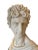 Large Classical Greek Apollo Bust in Stone Powder & Resin For Sale - Image 4 of 9