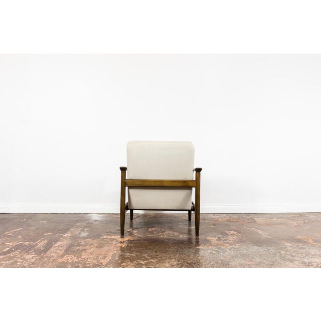 Vintage GFM 142 Chair by Edmund Homa for GFM, Poland, 1960s For Sale - Image 4 of 14