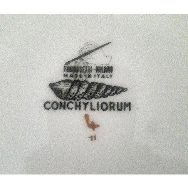 Mid-Century Modern Piero Fornasetti Porcelain Gilt Rare Seashell Plates, Conchyliorum Pattern, Set of Six Plates For Sale - Image 3 of 9