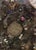 18th Century Framed Reliquary, Wax Medallions, Saint Relics, Austria For Sale - Image 4 of 9