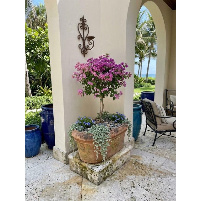 Terra Cotta Vintage Italian Tuscan Style Terracotta Oval Planter Trough With Mascaron Relief For Sale - Image 8 of 12