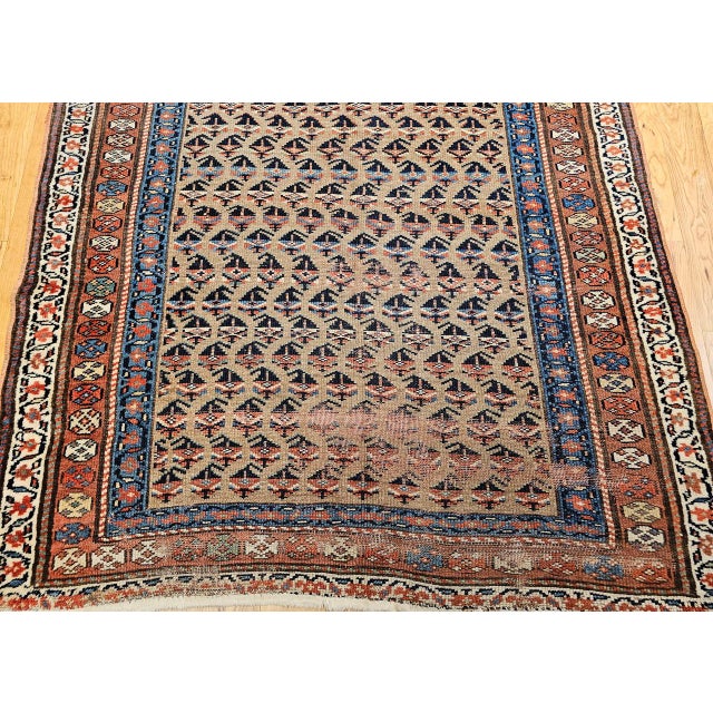 Vintage Persian Kurdish Bidjar Gallery Rug, Hand-Knotted Wool, Allover Paisley Design, Camelhair & Blue, 5x12 For Sale - Image 12 of 16