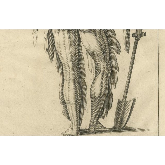 Anatomical Back Muscle Study with Shovel, 1745, Paper For Sale - Image 3 of 10
