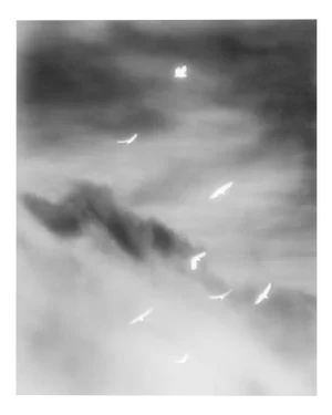 Flight - Black and White Sky Photography, from Limited Edition of 20 2025