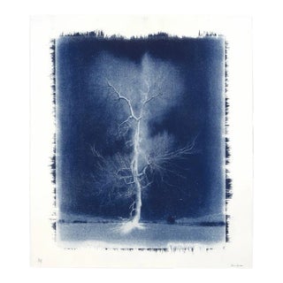 "Electrified Oak" Original by Sam Gulliver, Works on Paper, the Frankenstein Collection For Sale