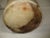 Antique Geddes Ny Floral Motif Stoneware Jug For Sale - Image 15 of 16