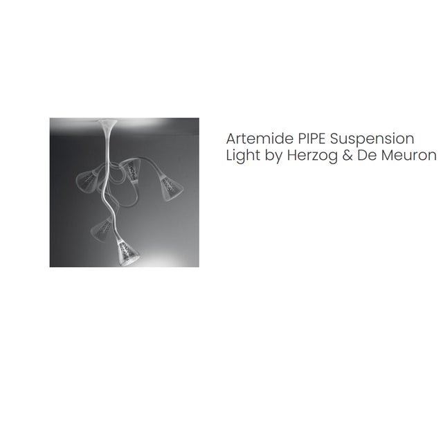 Pipe Adjustable Fluorescent Pendant Lamp by Herzog & De Meuron for Artemide, 2002 For Sale - Image 14 of 18