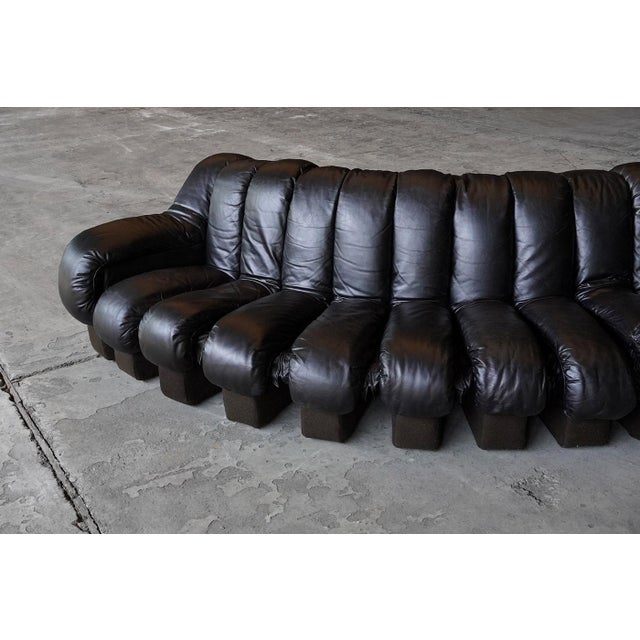 Ds600 Snake Sofa in Black Leather by Ueli Berger for de Sede, Switzerland, 1970s, Set of 19 For Sale - Image 4 of 8