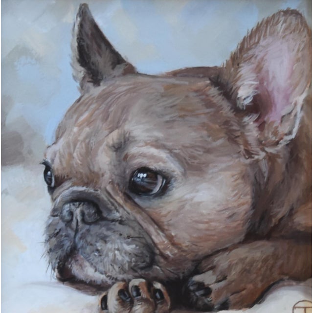American French Frenchie Bull Dog Portrait Painting Including the Antiqued Gold Frame For Sale - Image 3 of 5
