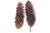 Natural 15" Jumbo Pine Cones For Sale - Image 4 of 8