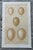 Set of 8 English Late 19th Chromolithographs of Bird Eggs For Sale - Image 4 of 10