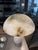 Stone Pair of Palecek Table Lamps For Sale - Image 7 of 11