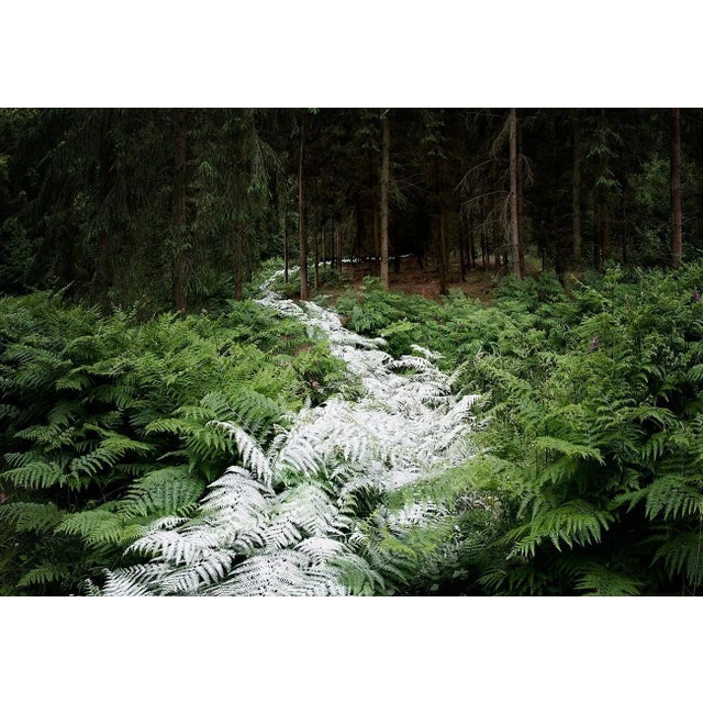 Come With Me 2 is a Digital C-Type Print on Fuji Maxima Matte paper, available in this size from a Limited Edition of 7 +...