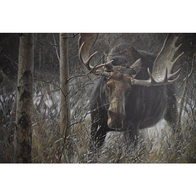 Robert Bateman’s The Challenge – Bull Moose captures a commanding bull moose emerging through a quiet woodland—an iconic...