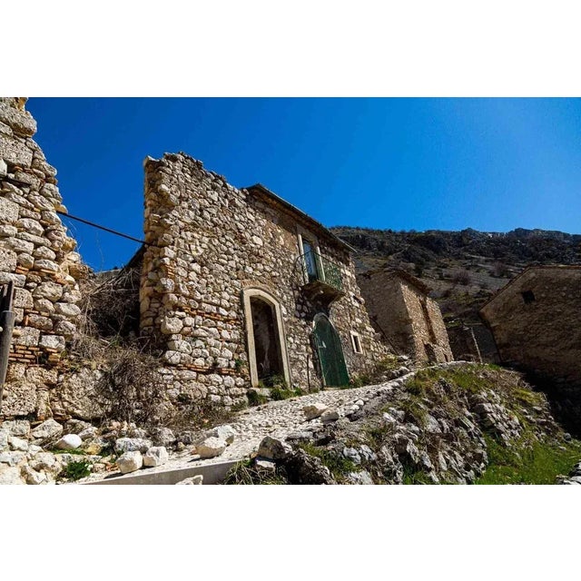 Frozen in Time is a beautiful photograph on Pearl photographic paper realized by the artist Cindi Emond in 2021. Edition...