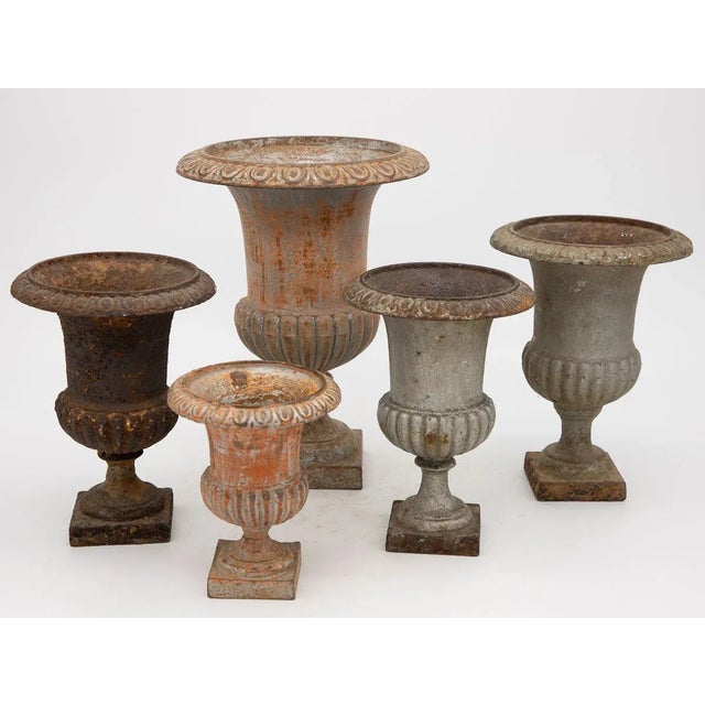 Metal Petite Cast Iron Urn For Sale - Image 7 of 8