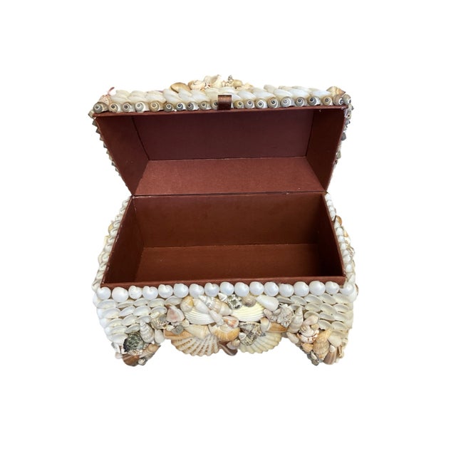 Textile Footed Natural and White Mixed Shell Box For Sale - Image 7 of 7