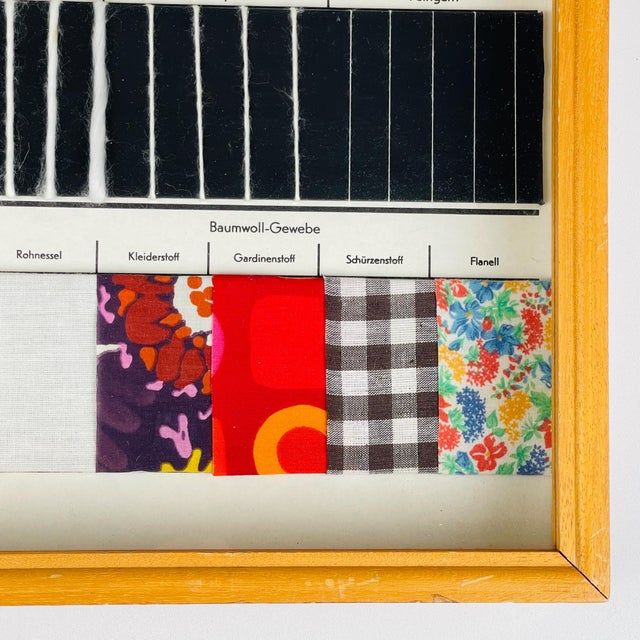 Vintage School Education Display Die Baumwolle (Cotton) by Josef Galler, Germany, 1960s For Sale - Image 12 of 14