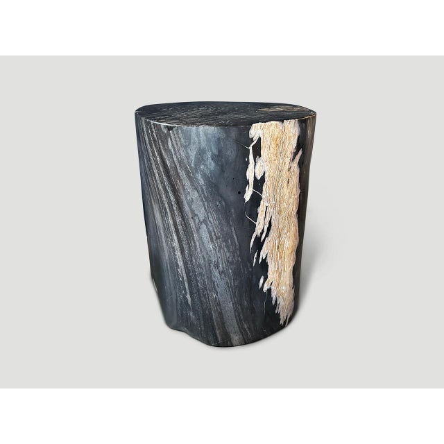 Beautiful dramatic tones and markings on this impressive high quality petrified wood side table. It’s fascinating how...