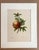 Realism Vintage Pierre-Josephe Redouté Print in 16x20 Mat: Grenade/Grenadier Punica For Sale - Image 3 of 3