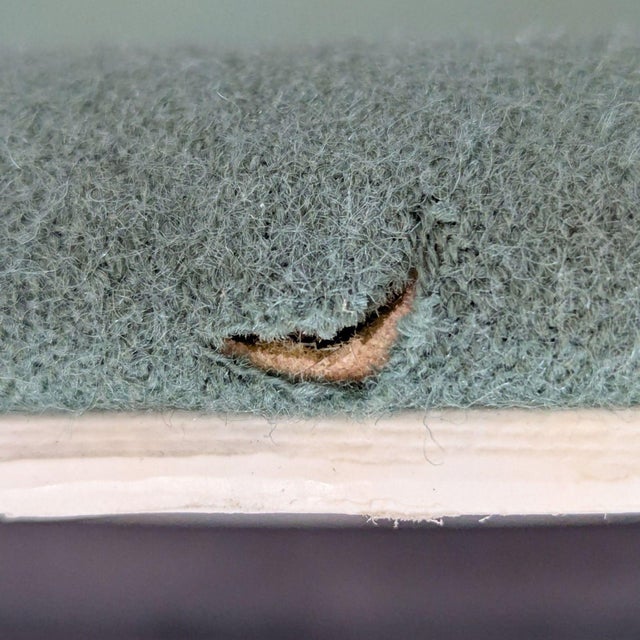 Green Andreu World Modern Green Office Chair With Wheels For Sale - Image 8 of 9