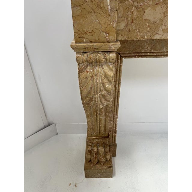 Napoleon III Fireplace with Claw Feet in Speckled Marble, 1800s For Sale - Image 9 of 18