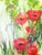 Late 20th Century Poppies, Original Oil Painting on Canvas, Signed For Sale - Image 5 of 5