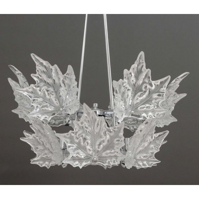 Lalique Champs-Elysees Two-Tier Chandelier For Sale - Image 11 of 18