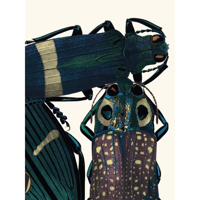 Art Deco Insects Plate 05 by Emile-Allain Séguy, Vintage Art Print Reproduction, 18" × 24" For Sale - Image 3 of 6