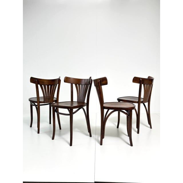 Vintage Bentwood Fan Chairs from ZPM Radomsko, Poland, 1970s For Sale - Image 3 of 18