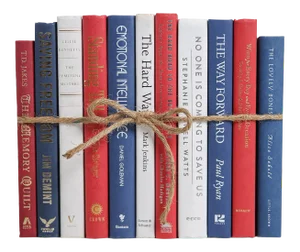 Decorative Books - Americana Book Bundle - 1 Foot of Red and Blue Books