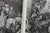 Hieronymus Bosch by Charles De Tolnay 1966 For Sale - Image 4 of 5