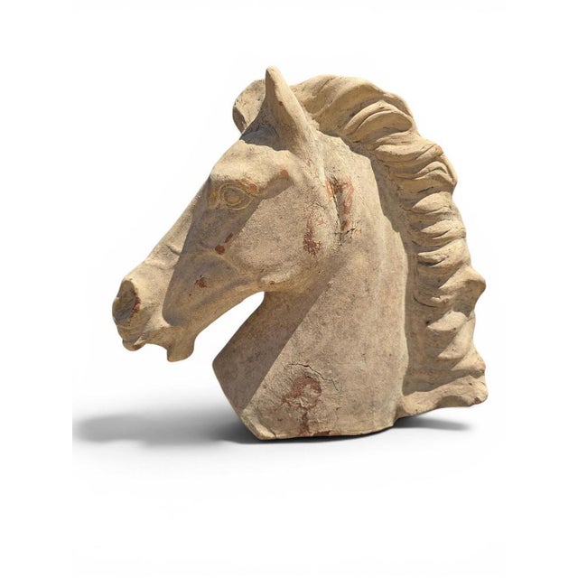 1950s Greek Horse Head Sculpture in Terracotta, Italy, 1950 For Sale - Image 5 of 7