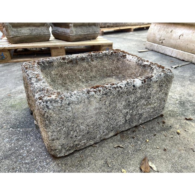 Stone Gray Diminutive Antique French Hand Carved Stone Trough Planter From Provence For Sale - Image 8 of 8