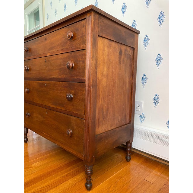 Wood Antique Early 1800s Southern Neoclassical Walnut Chests of Drawers, Likely From Central Virginia For Sale - Image 7 of 15