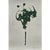 Contemporary Set of 6 - One-of-a-Kind Dark Green Botanical Organic Modern Original Oil Paintings / Herbarium / Floral / Earth Tones For Sale - Image 3 of 11