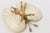 Coastal Shell and Gold Plated Butterfly Bowl or Ring Dish For Sale - Image 9 of 9