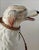 Antique White Life Size Glazed Porcelain Borzoi Dog Statue Made in Italy, Circa 1960 For Sale - Image 8 of 13