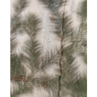 Gaétan Caron "Quiétude (Redwood)" Mendocino, Ca Photograph, 2015 2015 For Sale