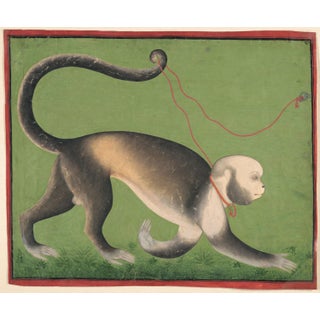 Photograph of a Monumental Portrait of a Monkey by Rajasthan, Mewar, Udaipur Watercolor Print For Sale
