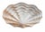 Modern John Dickinson Style White Plaster Shell Form Pendant Light Fixture For Sale - Image 3 of 4
