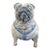 Pug Dog With Blue Harness Studio Pottery Sculpture Statue Signed Kaj For Sale