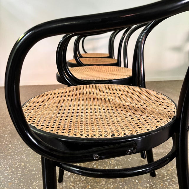 Model B9/209 Armchairs, 1970s, Set of 4 For Sale - Image 11 of 14