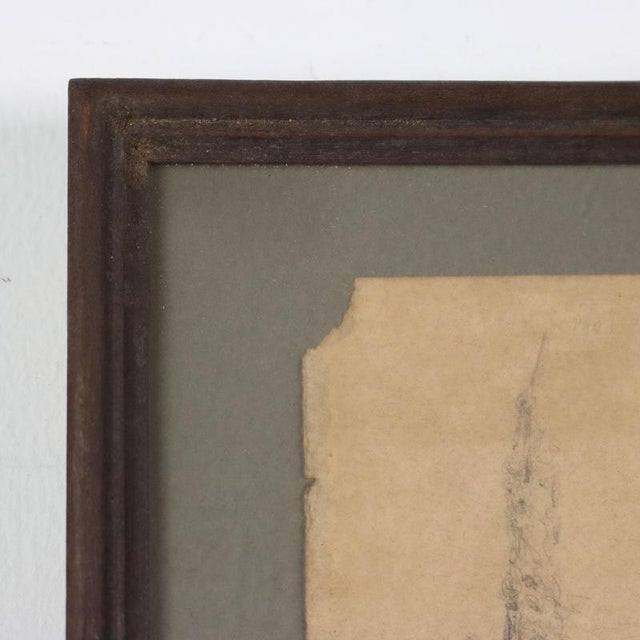 Francesco Paolo Michetti, Plant Sketch, Pencil on Paper For Sale - Image 6 of 8