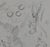 Hervé Baille, Adam and Eve in Paradise, Original Pencil Drawing For Sale - Image 4 of 7