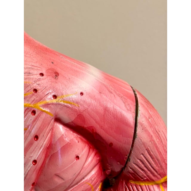 Anatomy of Man Acupuncture Detachable Arms, 1965 For Sale - Image 16 of 18