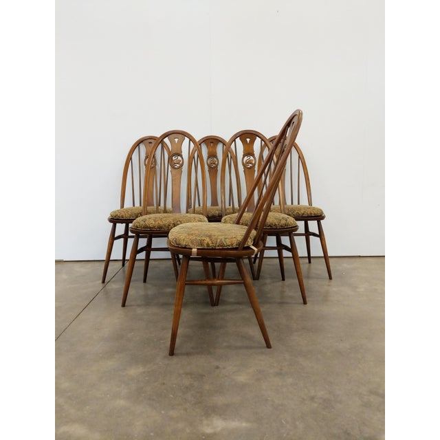1960s Set of 6 Vintage Mid Century Modern Dining Chairs by Ercol For Sale - Image 5 of 11