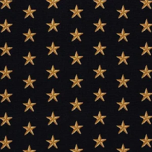 Schumacher Star Epingle Fabric in Black